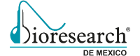 BIORESEARCH